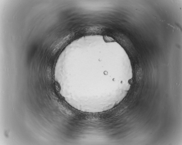 X0000101670729200807311457