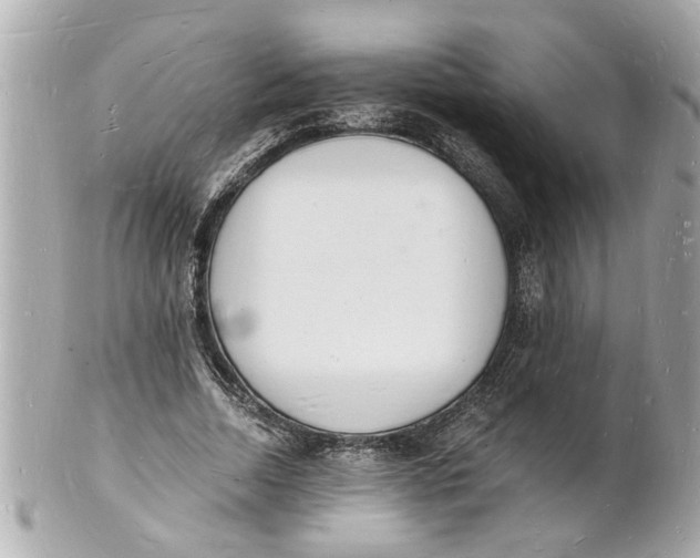 X0000101670730200807311457