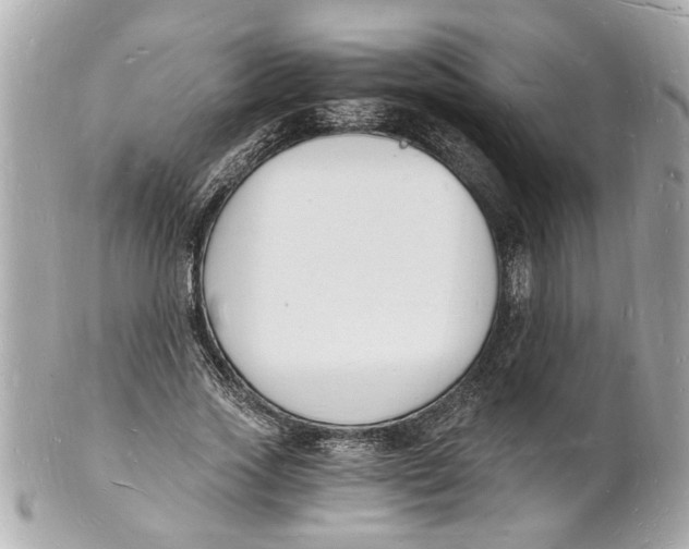 X0000101670733200807311457