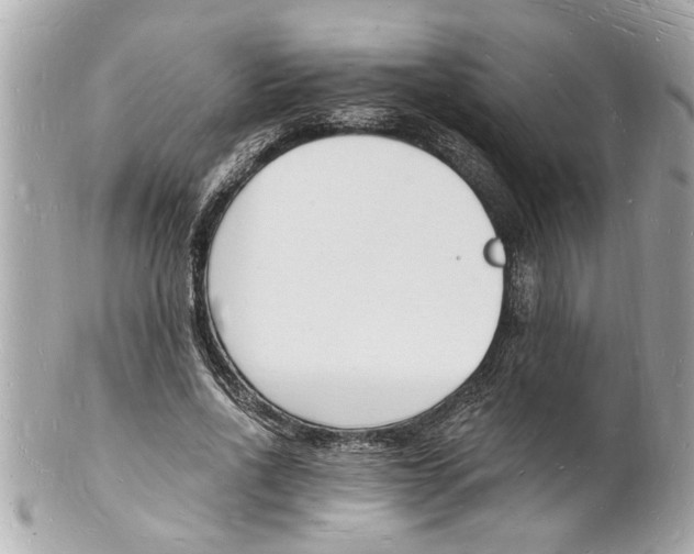 X0000101670734200807311457