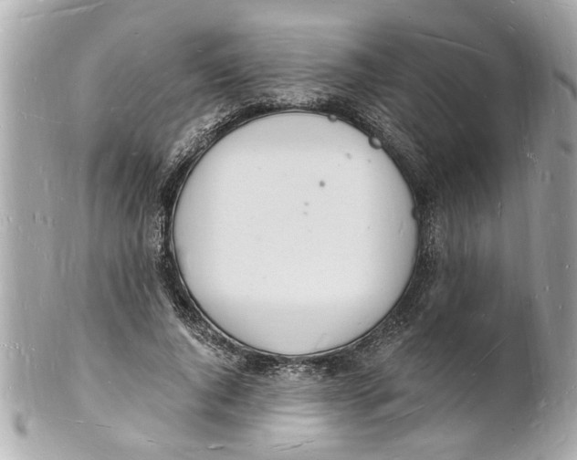 X0000101670736200807311457