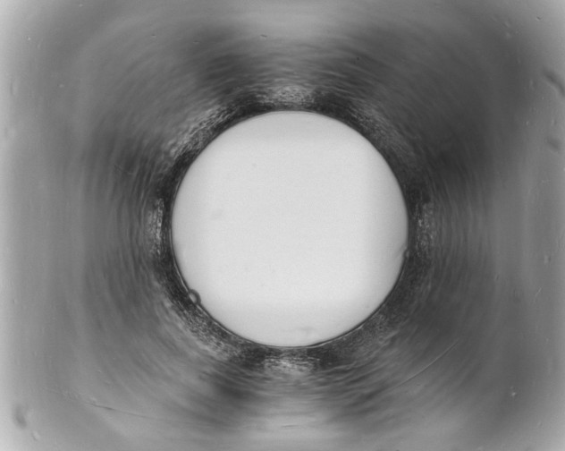 X0000101670739200807311457
