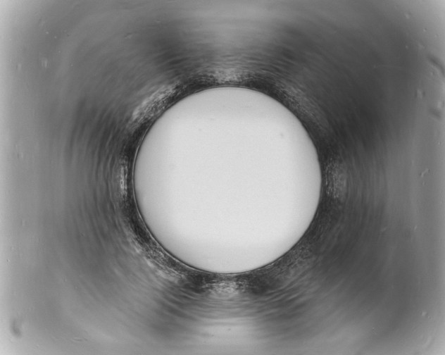 X0000101670740200807311457