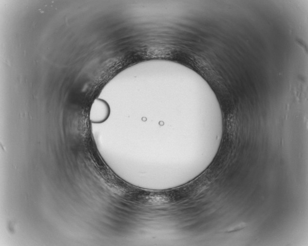 X0000101670741200807311457