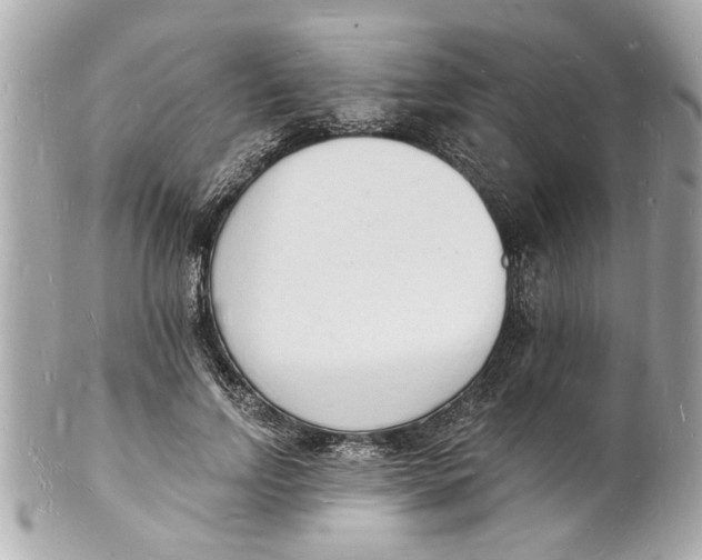 X0000101670742200807311457