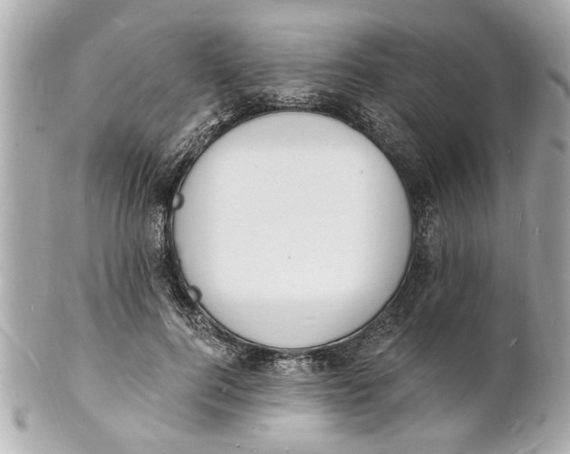 X0000101670744200807311457