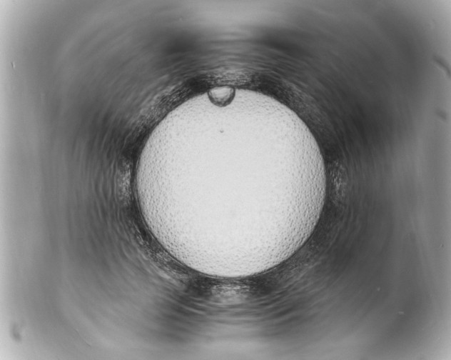 X0000101670745200807311457