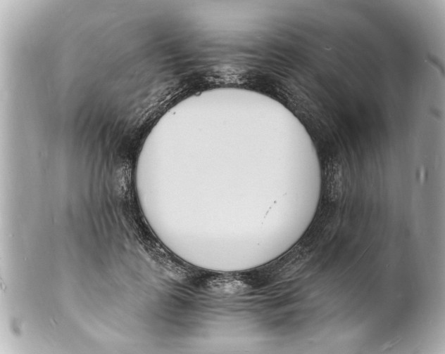 X0000101670747200807311457