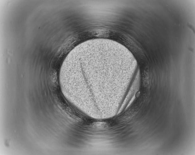 X0000101670748200807311457