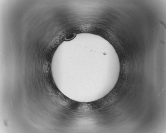 X0000101670750200807311457