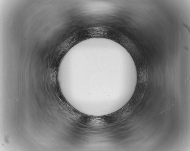 X0000101670753200807311457