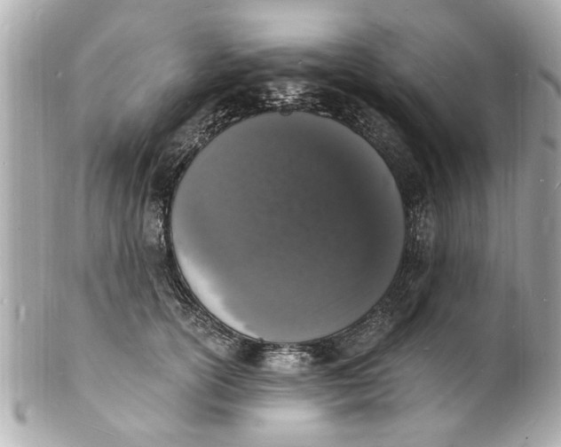X0000101670754200807311457