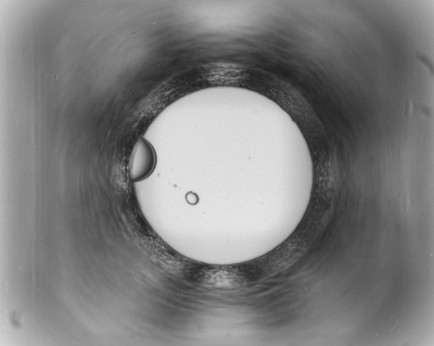 X0000101670755200807311457