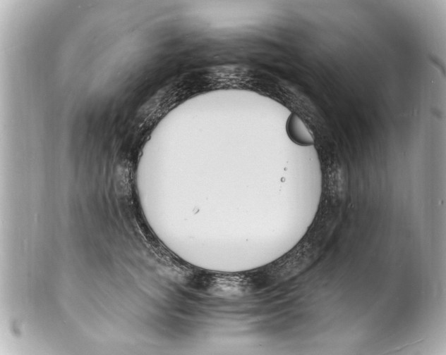 X0000101670757200807311457