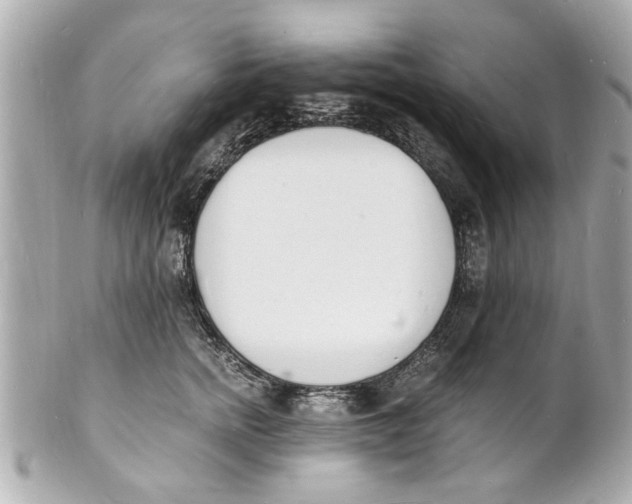 X0000101670758200807311457
