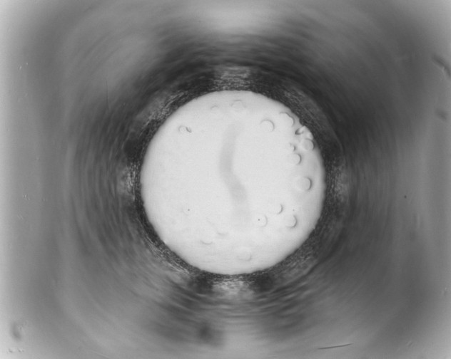 X0000101670759200807311457