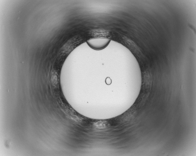 X0000101670761200807311457