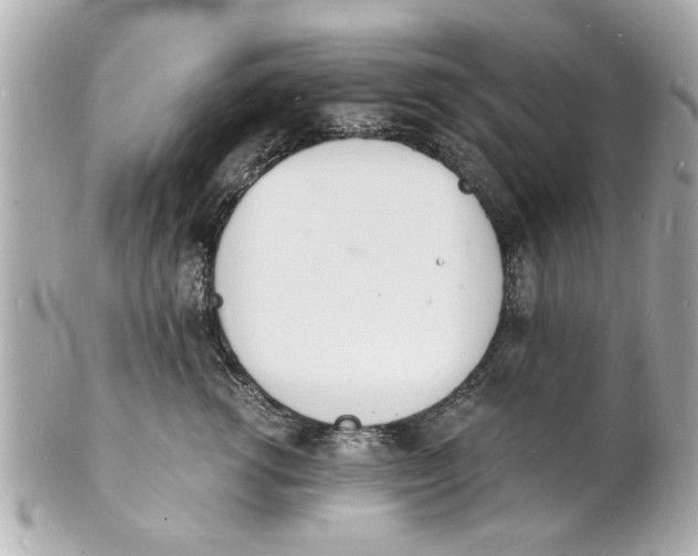 X0000101670762200807311457