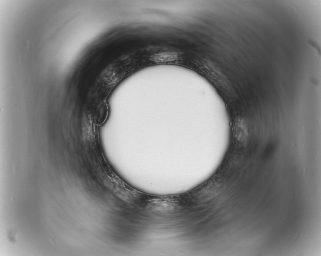 X0000101670763200807311457