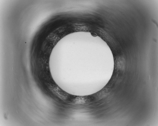X0000101670764200807311457