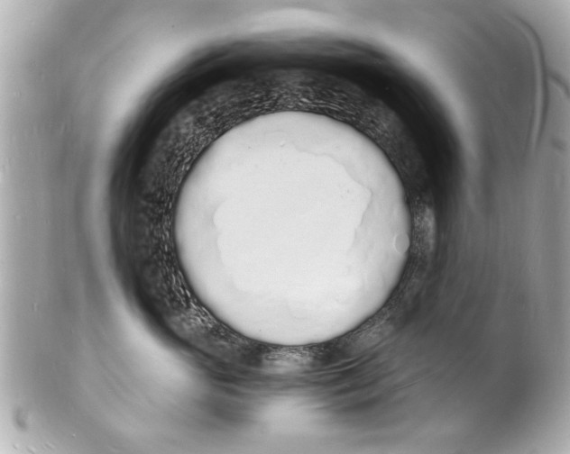 X0000101670765200807311457