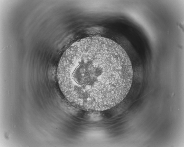 X0000101670767200807311457