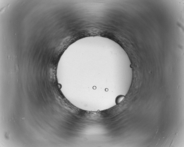 X0000101670768200807311457