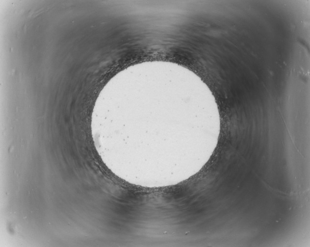 X0000101670769200807311456