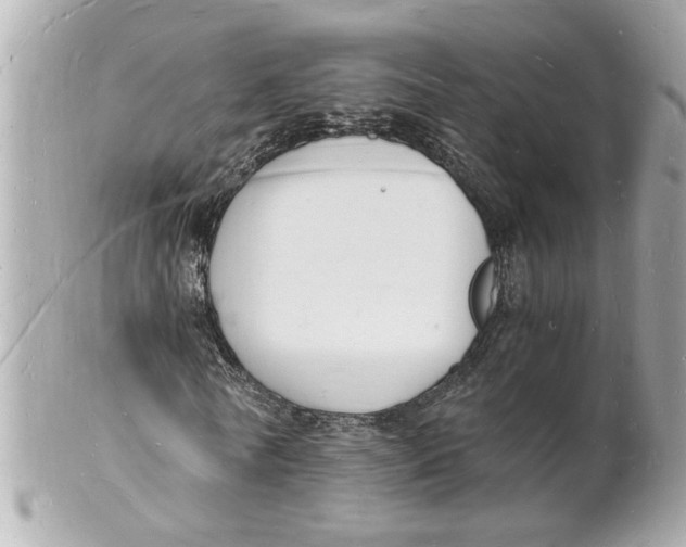 X0000101670770200807311456