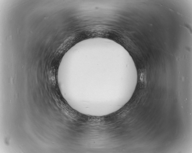 X0000101670771200807311456