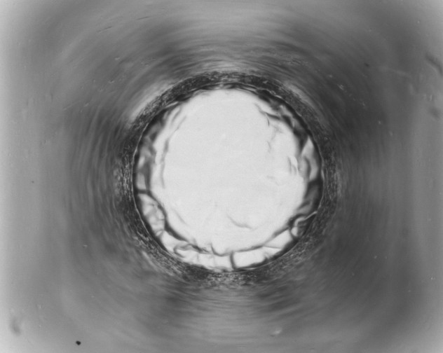 X0000101670775200807311456