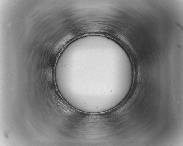 X0000101670777200807311456