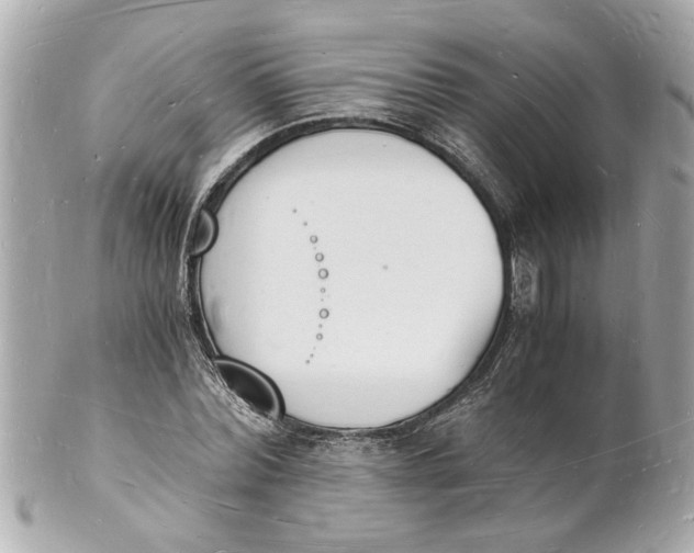 X0000101670780200807311456
