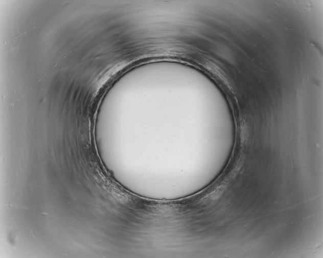X0000101670781200807311456