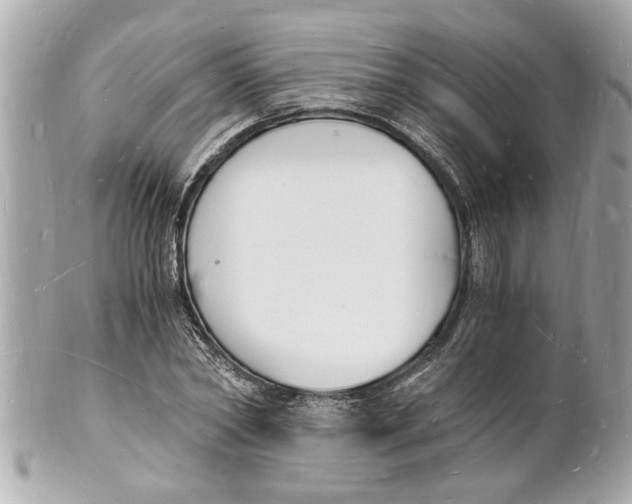 X0000101670782200807311456