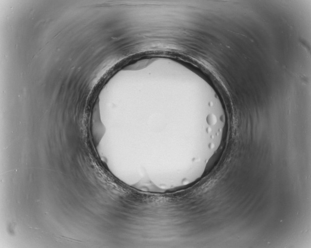 X0000101670783200807311456