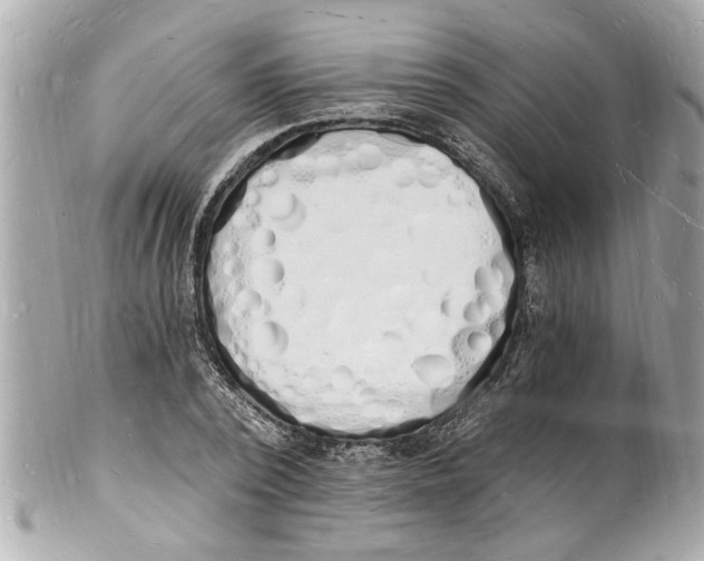 X0000101670784200807311456