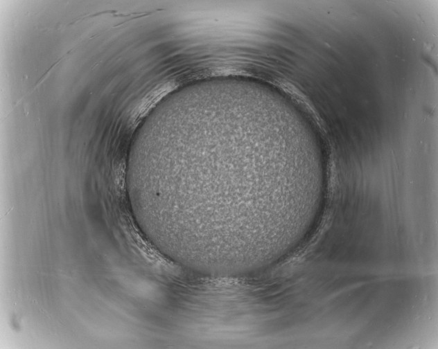 X0000101670785200807311456