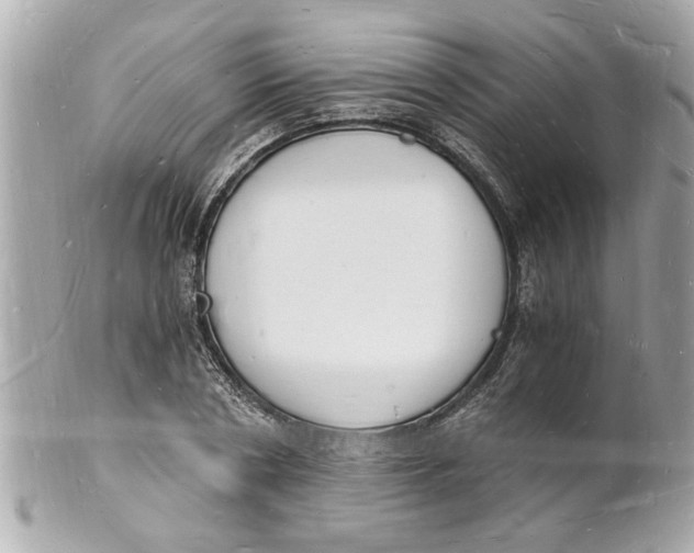 X0000101670786200807311456