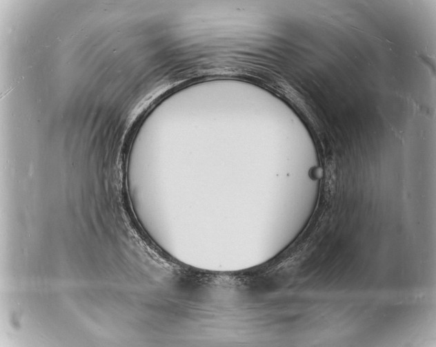 X0000101670787200807311456