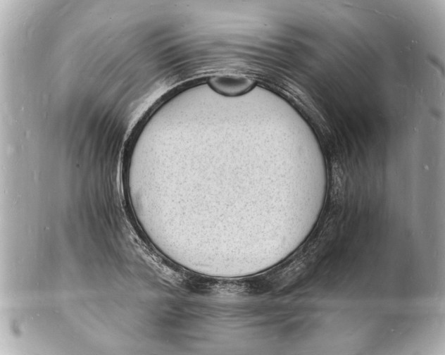 X0000101670788200807311456