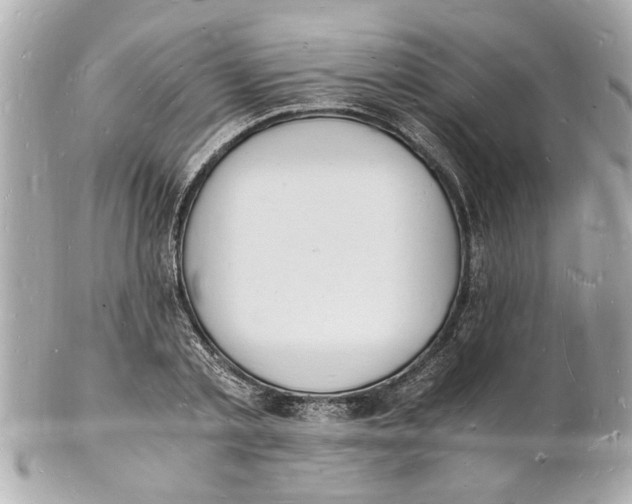 X0000101670789200807311456