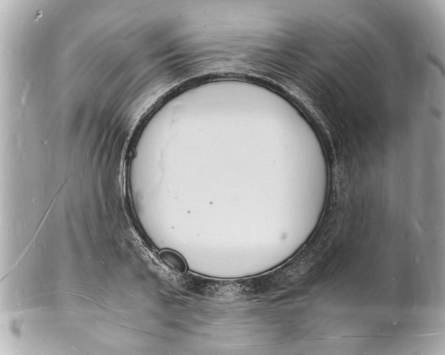 X0000101670791200807311456
