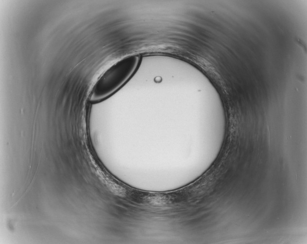 X0000101670792200807311456