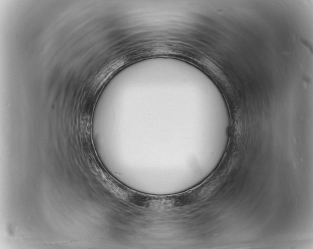 X0000101670793200807311456