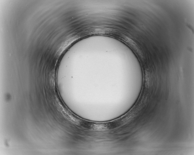 X0000101670794200807311456