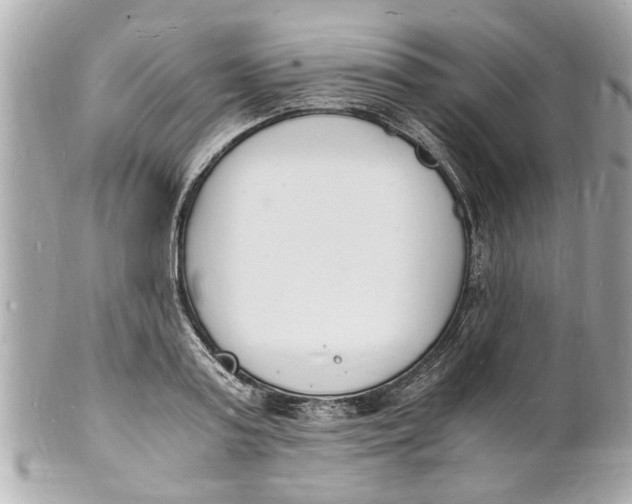 X0000101670795200807311456