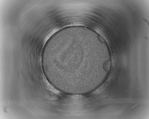X0000101670797200807311456