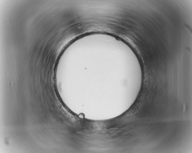 X0000101670799200807311456