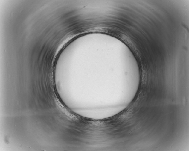 X0000101670800200807311456